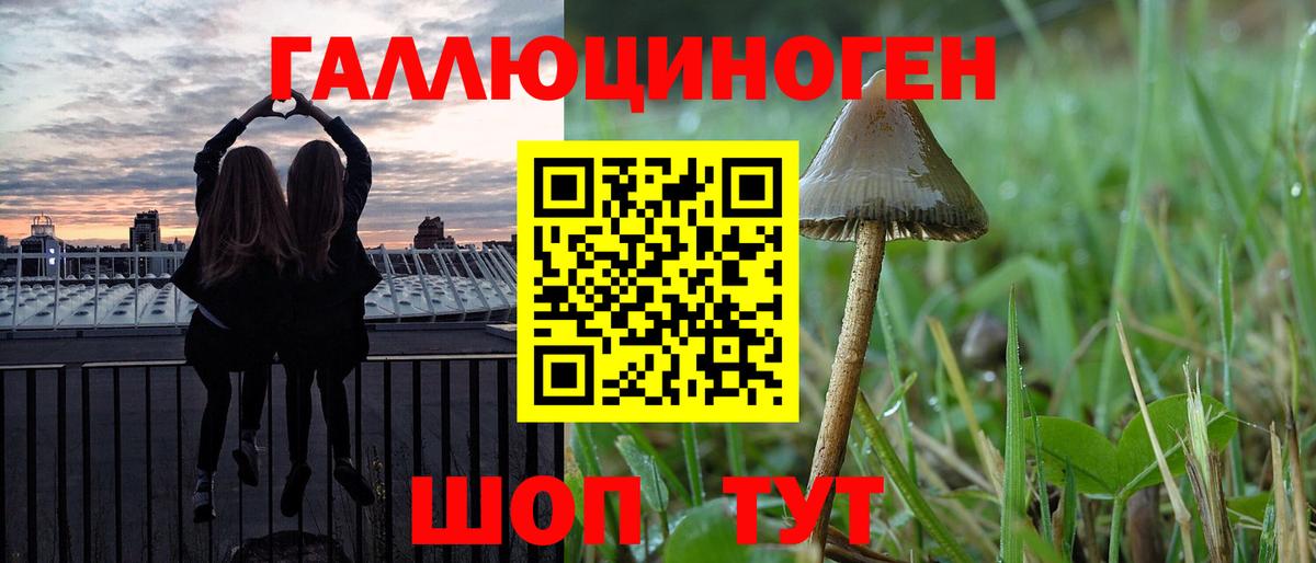 Псилоцибиновые грибы MAGIC MUSHROOMS  Вход с VPN  Псилоцибиновые грибы Psilocybine cubensis  Каменка 
